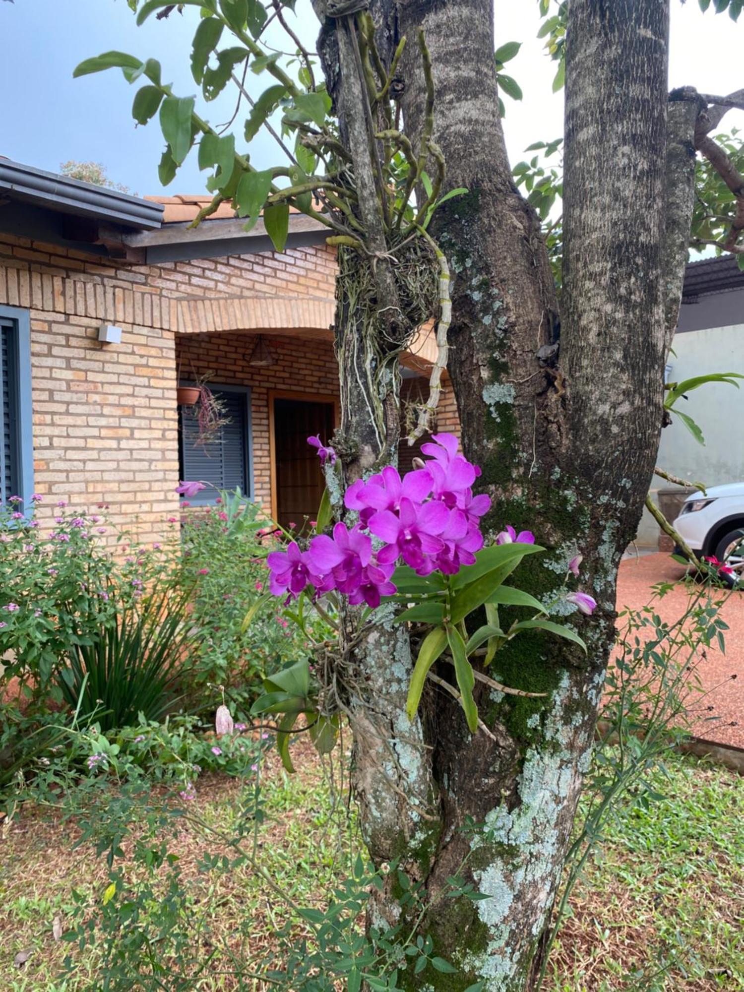 Moderna Y Unica Casa Independiente Con Jardin Y Estacionamiento Ciudad del Este Bagian luar foto